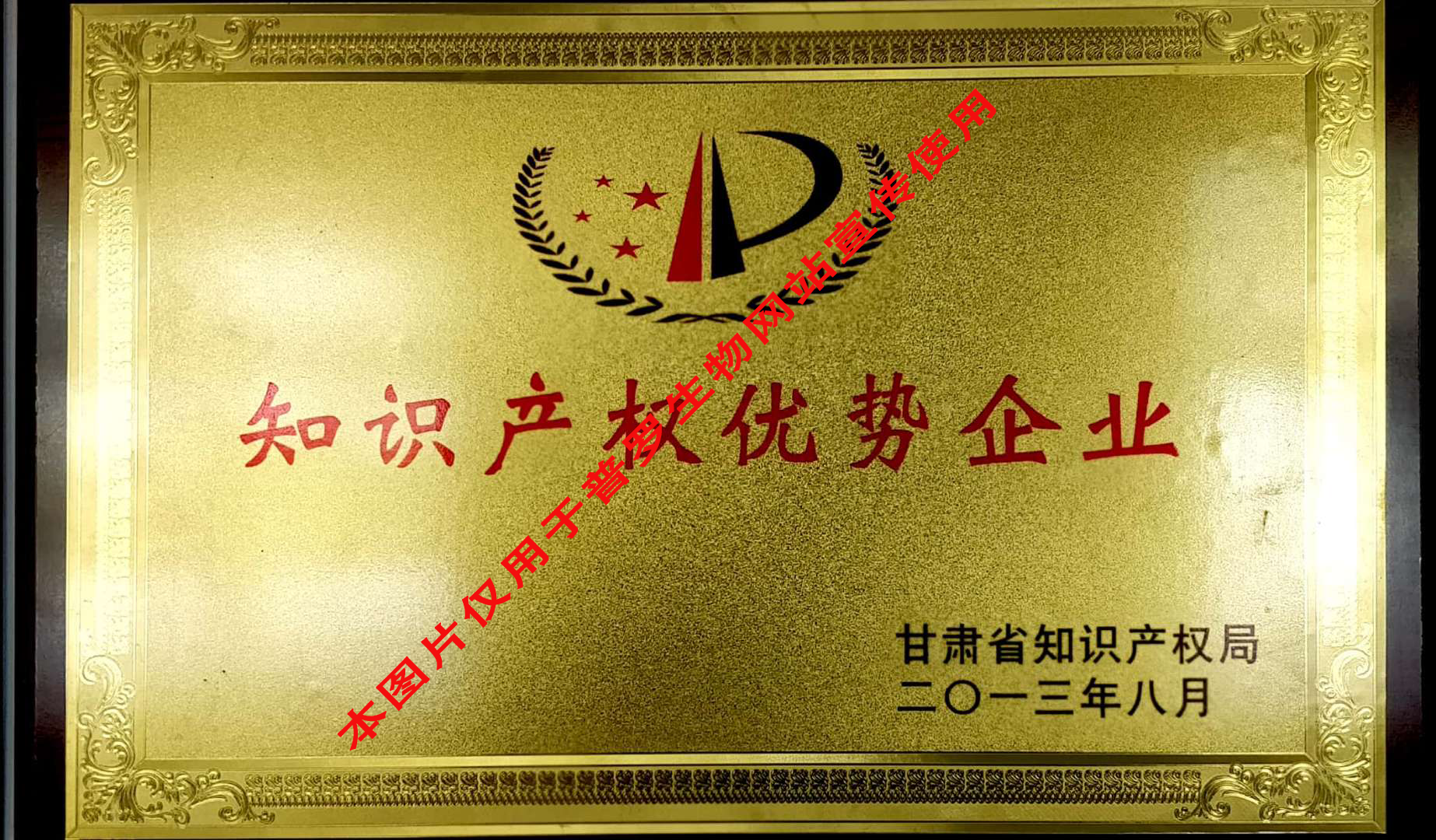 甘肅省知識(shí)產(chǎn)權(quán)優(yōu)勢(shì)企業(yè)